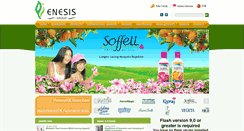 Desktop Screenshot of enesis.com